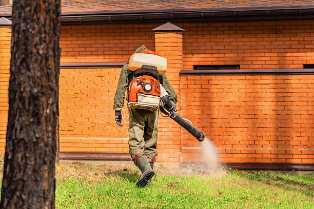 Bed Bug Clearance Verification and Documentation in Rainbow City